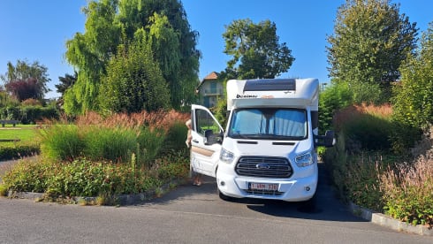 5p Benimar semi-integrated uit 2019