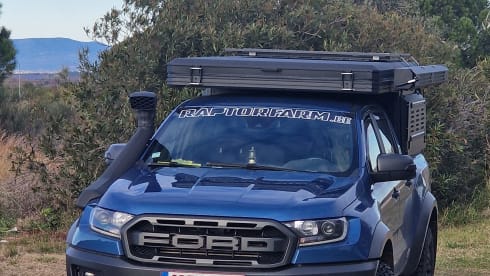 Creation – 2p Ford rooftop from 2019