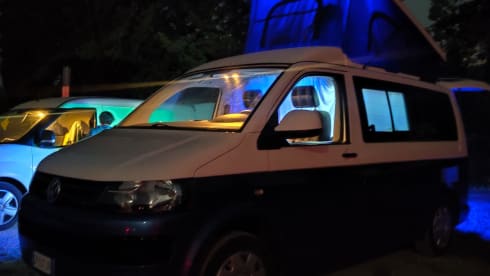 Luxury Van Transporter T5