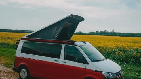 Marie – VW T6.1 – Der Wohlfühl-Camper mit viel Platz!
