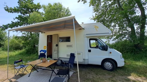 Cas – Family camper - bunk bed