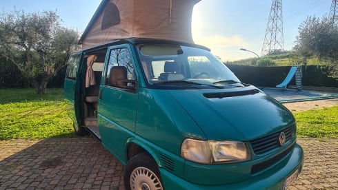 Westfalia California Roma – Volkswagen Westfalia California T4