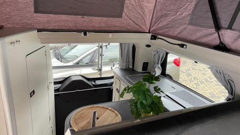 Nugget – 4p Ford bus from 2020