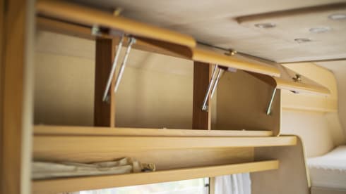 Sangria – Walking with Sangria!