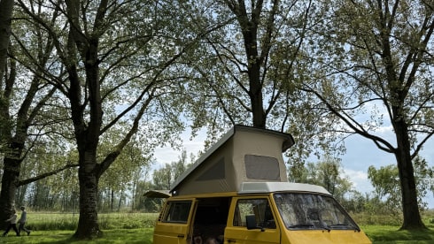 Joker – 4p Volkswagen campervan from 1980