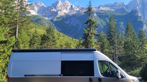 Autobus Fiat 2p del 2016