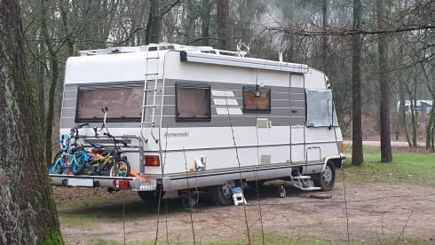 De bruine beer  – 5p Hymer integrated from 1992