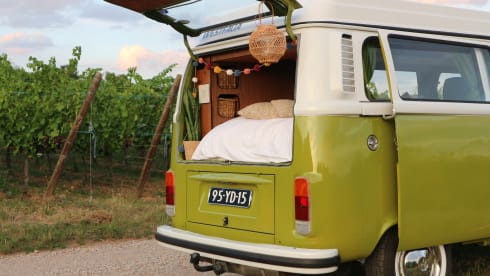 Sanseveria – Volkswagen T2b Westfalia Berlin '77