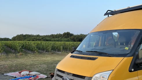 Eddie – Eddie the yellow camper van