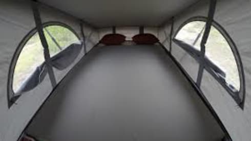 NOUVEAU VW CALIFORNIA AVEC PORTE-VÉLOS