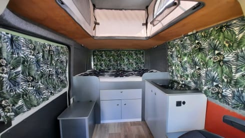 La Route Nouvelle  – camping-car Peugeot