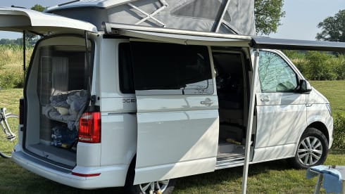 Cali  – Volkswagen California T6 (Factory Camper, original)