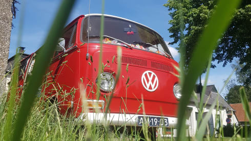 Rode Roos – Unique experience with Red Rose!