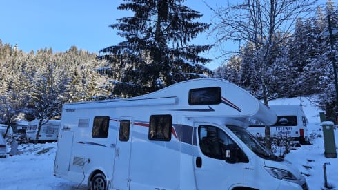 7p Fiat alcove uit 2019