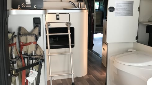 WOLF TRAIL – FORD NUGGET PLUS TRAIL 2022, economical and full option