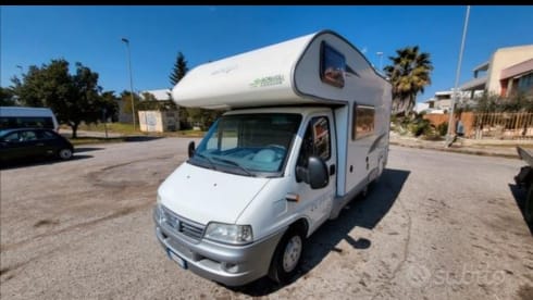 SAMO – FREE TO TRAVEL