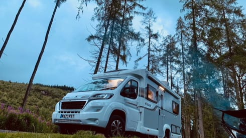 BETTY – ELDDIS VOGUE 155