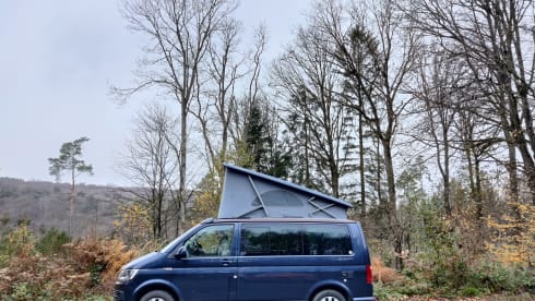 Well-equipped Volkswagen California for rent