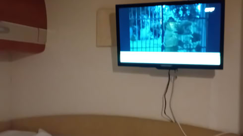 Juline – Ford Hobby Edition 