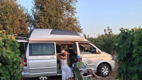 Faustino  – Hotel California 