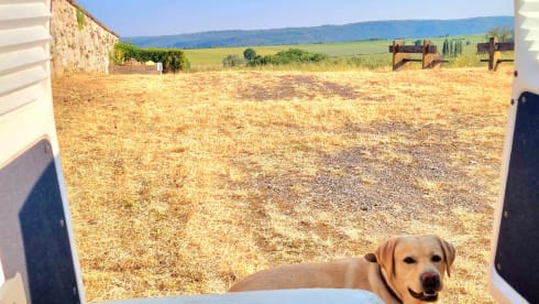 2-seater Nissan campervan from 2017