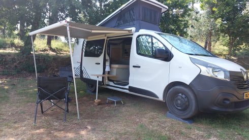 SchaafBus – Cozy campervan with sleeping pop-up roof 