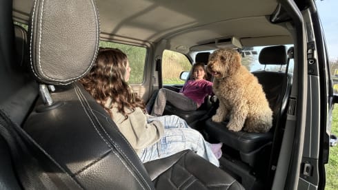 Rooftop party Van  – Happy 4 person Volkswagen party Van.