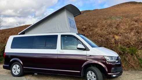 Mario – VW T6 Transporter - Classic, high spec interior in the Peak District