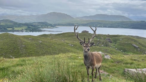 Outlander  – Hire Outlander automatic from Edinburgh airport 
