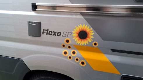 SunnieSunliving – 2-person Fiat Ducato bus from 2017