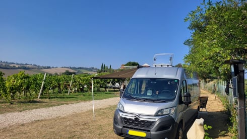 Dubbus – 2p Citroën bus uit 2018
