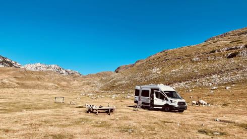 Paule – Get into your VanLife experience with our Paule!