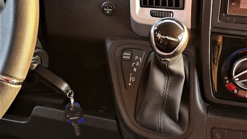Carado i338 (B) clever edition automatic year 2022