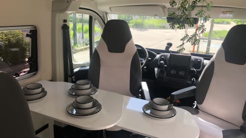 Wheely – 4p Roller Team bus uit 2026