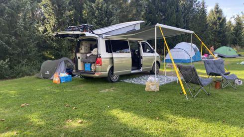 Volkswagen 6.1 Custom 2024