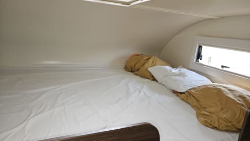 6p Benimar alcove from 2019