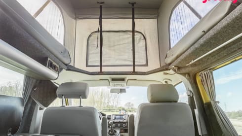 Sunny – 2p Volkswagen bus from 2015