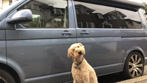Vinnie – Great fun, fab value (insurance incl) & easy logistics from W7