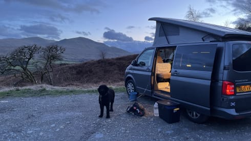 Gypsy – 2  berth Volkswagen from 2019