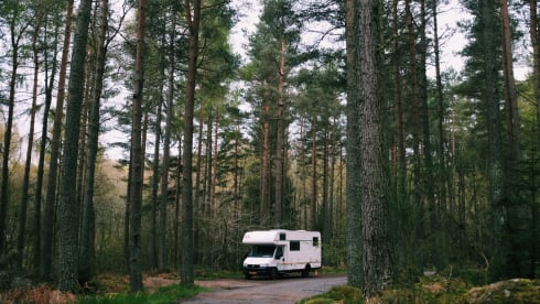 BAMBO WHEELS – Spacious nice family camper