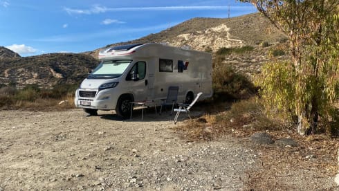 Sunshine – 5p Peugeot semi-integrated uit 2023 roller team 298TL Kronos 