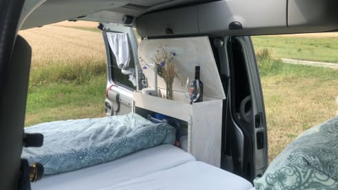 Willi – Vermiete Renault Kangoo Minicamper Eigenumbau