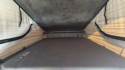 Anakin – 4 berth Volkswagen (T6 4motion 205 DSG) Campervan  - Dog Friendly 