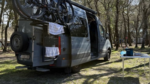 CONSCIOUS.VAN – 2p Mercedes-Benz bus uit 2020