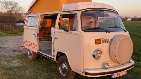 T2B Westy – rent an original hippie bus westfalia camper !!