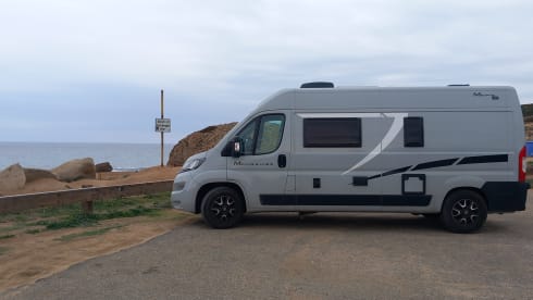 Petunia – The freedom to live in all the wonderful places.