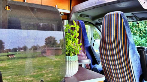 Johnny de Camper – Luxury Fiat Ducato Hymer 