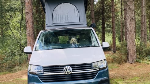Boris – Luxury 4 Berth T6 VW Camper With Pop Top
