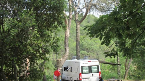 Benni – Bus camper built in 2021 for rent in Kontich.