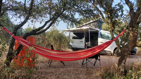 SchaafBus – Cozy campervan with sleeping pop-up roof 